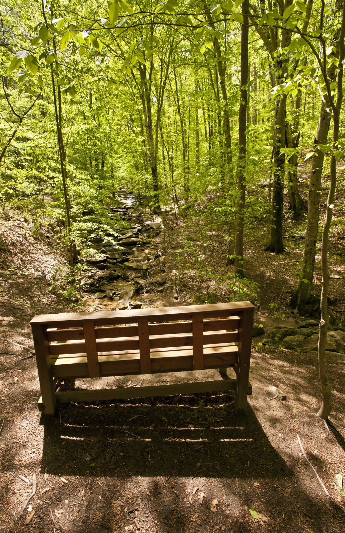 Cascades Preserve